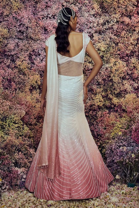 Shilpi Gupta Mars Embroidered Saree Gown 