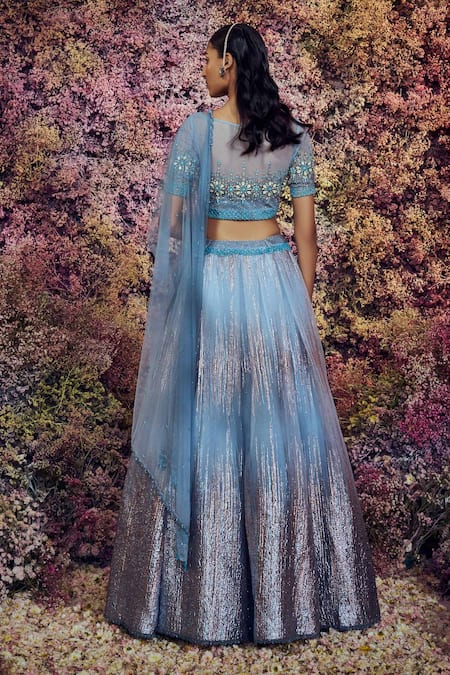Shop Shilpi Gupta Blue Skirt Imported Organza Embroidered Crystals Round Welkin Blouse Set Online at Aza Fashions Shop_Shilpi Gupta_Blue Skirt Imported Organza Embroidered Crystals Round Welkin Blouse Set _Online_at_Aza_Fashions