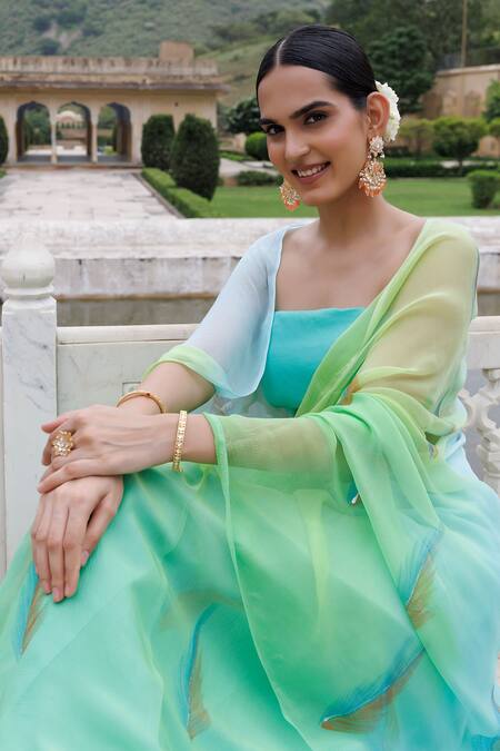 Geroo Jaipur_Green Chiffon, Jacquard Hand-painted With Unstitched Blouse _at_Aza_Fashions