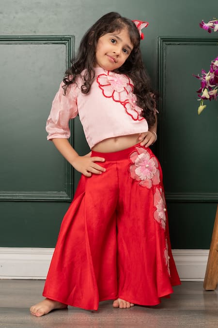 Shop_Kirti Agarwal - Pret N Couture_Pink Organza, Cotton Embroidery Floral Blast Crop Top With Pant _Online_at_Aza_Fashions