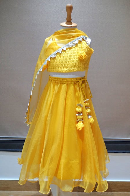 APRICOTKIDS Chikankari Embroidered Blouse Lehenga Set 