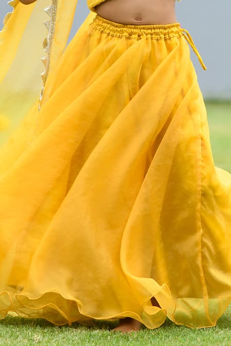 APRICOTKIDS_Yellow Organza, Chiffon Embroidery, Tassels Chikankari Blouse Lehenga Set _Online_at_Aza_Fashions