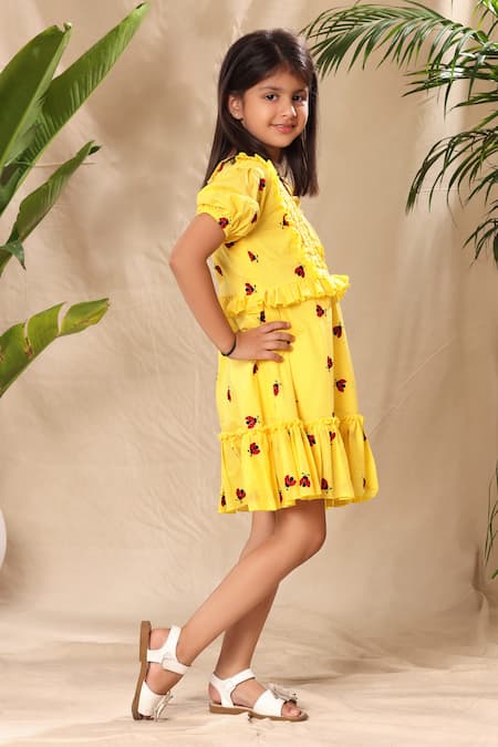 Buy_Littlecheer_Yellow Cotton Embroidery Ladybug Dress _Online_at_Aza_Fashions