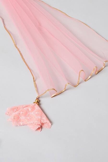 Byb Premium_Pink Georgette Sequins, Embroidery Blouse Lehenga Set_Online_at_Aza_Fashions