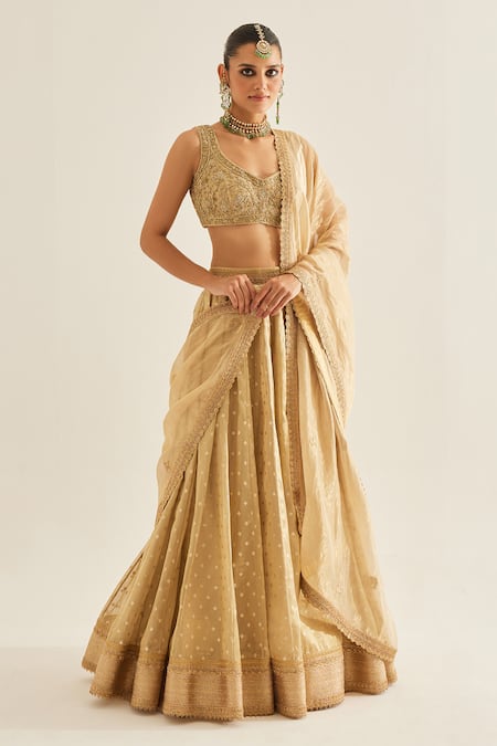 Gold Tissue Lehenga with Sky Blue Organza Dupatta – Shopzters