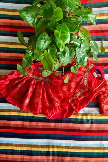 Rage Attire-Sweta Saria Banarasi Peacock Pattern Jamna Dress Set 