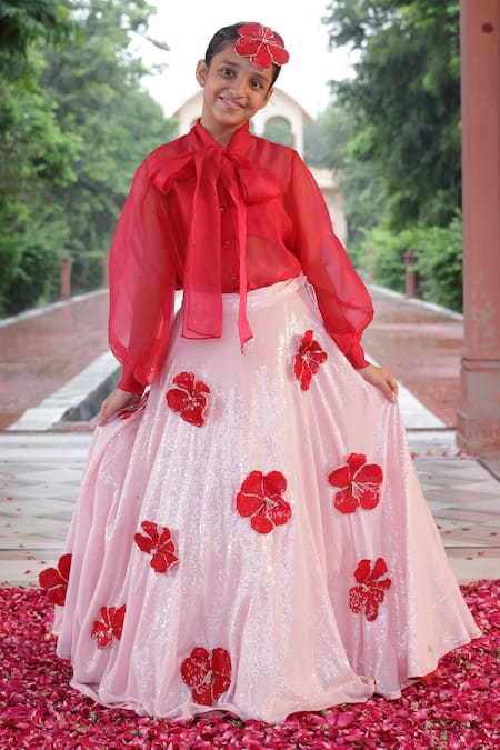 Navratri Chaniya Choli Ahmedabad Online 2023 | Top skirt set, Skirt set,  Wear crop top