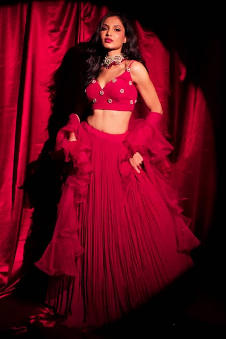 Anshika Tak Label Pleated Lehenga Set With Embroidered Blouse 