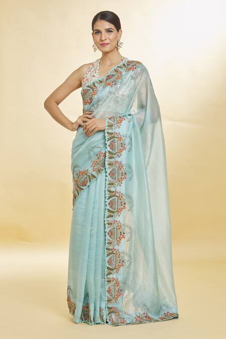 Priyal Bhardwaj_Blue Organza Embroidery, Sequins Resham Bordered Saree _Online_at_Aza_Fashions