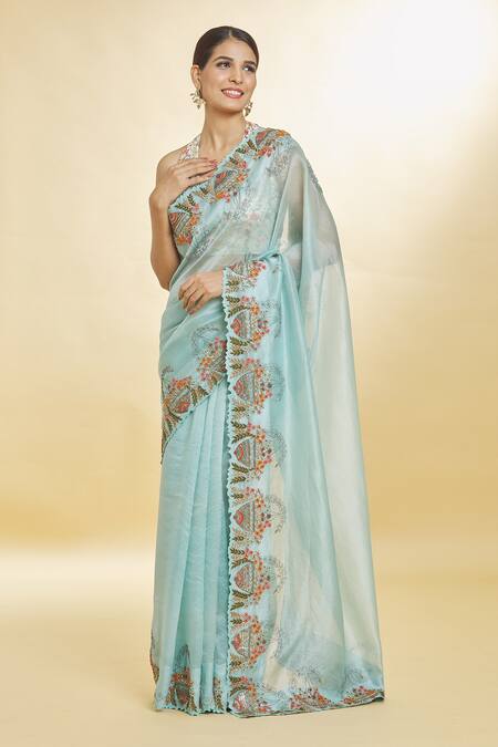 Priyal Bhardwaj_Blue Organza Embroidery, Sequins Resham Bordered Saree _at_Aza_Fashions