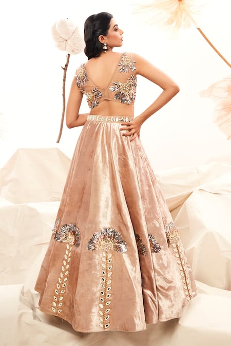 Payal & Zinal Velvet Embroidered Lehenga & Blouse Set 