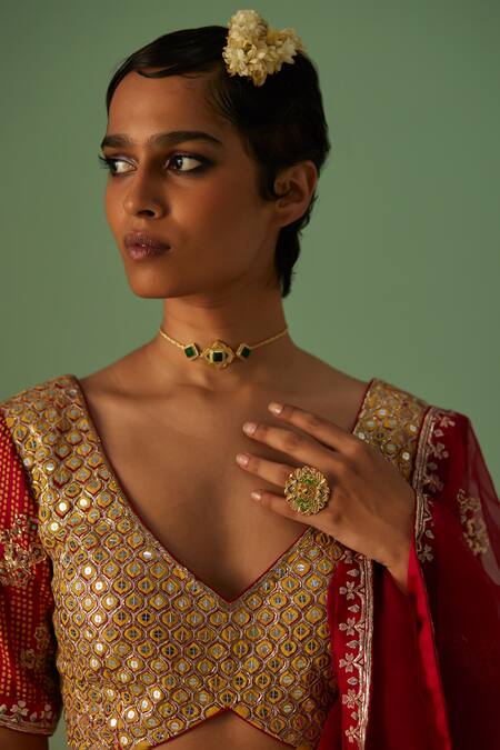 Surbhi Gupta Red Bamboo, Organza Mirrors, Embroidery V-neck Chevron Print Lehenga Set at Aza Fashions Surbhi Gupta_Red Bamboo, Organza Mirrors, Embroidery V-neck Chevron Print Lehenga Set _at_Aza_Fashions