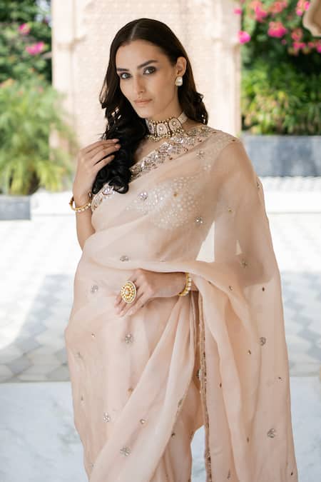 Esha Koul Pink Organza, , Cotton Sequins, Embroiderd Pleated Saree Set Online at Aza Fashions Esha Koul_Pink Organza, , Cotton Sequins, Embroiderd Pleated Saree Set _Online_at_Aza_Fashions