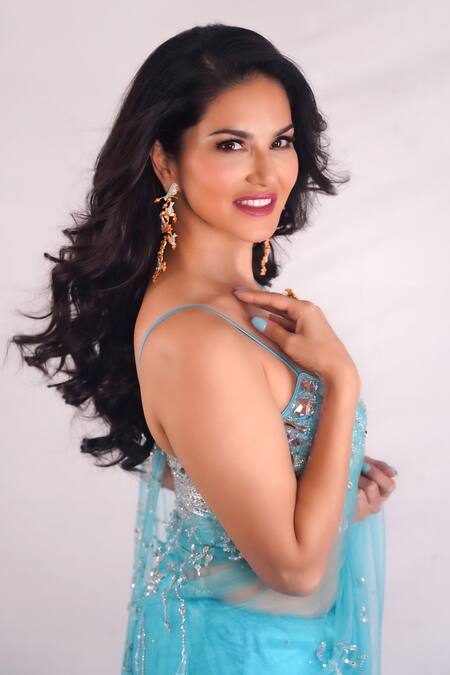 Buy_Dilnaz_Blue Embroidered Diamante Saree 