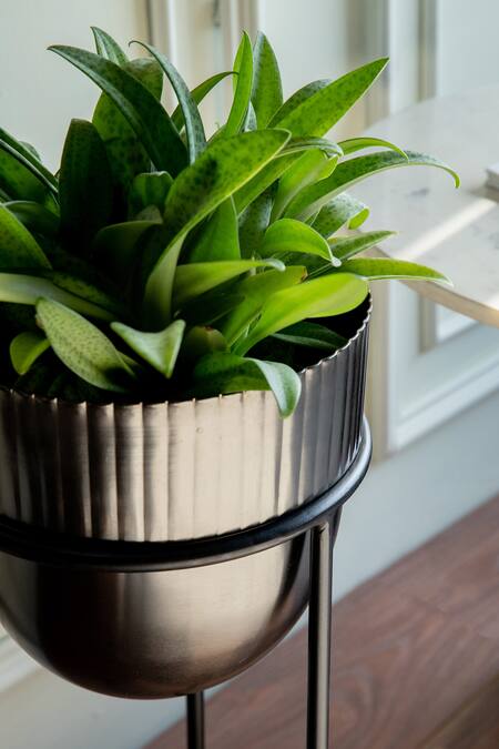 Buy_Logam_Black Mild Steel Plain Nordic Planter - Set Of 2_Online_at_Aza_Fashions