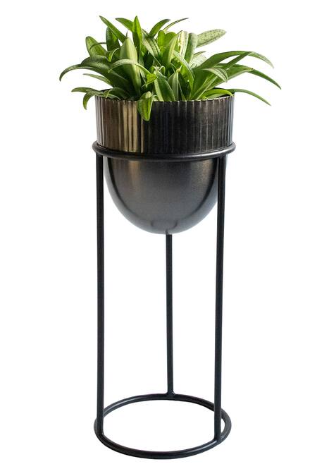 Shop_Logam_Black Mild Steel Plain Nordic Planter - Set Of 2