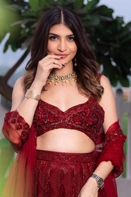 Shop_Mehak Murpana_Red Organza, Net, Lining Butter Crepe Cutdana, Embroidered Bridal Lehenga Set 