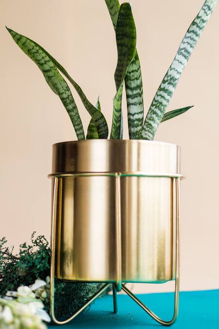 Manor House_Gold Glass And Iron Waves & Lotus Gift Set_Online_at_Aza_Fashions