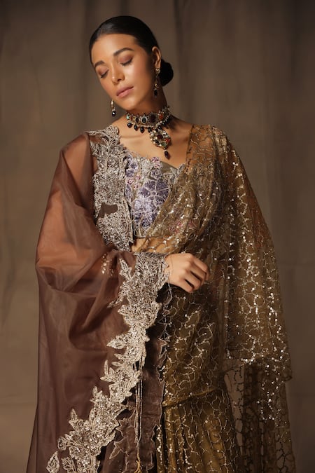 tara thakur_Brown Net Sequins, Embroidery Sweetheart Neck Blouse And Pre-draped Saree Set _at_Aza_Fashions