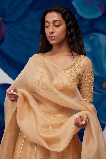 Zoon Gold Net, Silk Organza Sequins, Crystals Round Butti Embroidered Lehenga Set Online at Aza Fashions Zoon_Gold Net, Silk Organza Sequins, Crystals Round Butti Embroidered Lehenga Set _Online_at_Aza_Fashions