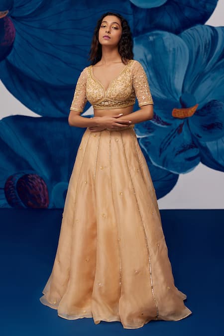 Zoon Gold Net, Silk Organza Sequins, Crystals Round Butti Embroidered Lehenga Set at Aza Fashions Zoon_Gold Net, Silk Organza Sequins, Crystals Round Butti Embroidered Lehenga Set _at_Aza_Fashions