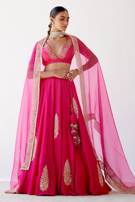 Devnaagri Floral Embroidered Lehenga Set 