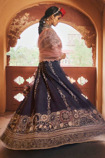 Megha Bansal_Blue Silk Organza, Silk, Viscose Aishani Vrit Geometric Embroidered Lehenga Set _at_Aza_Fashions