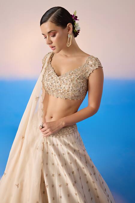 Mirroir Beige Organza, Viscose Sequins, Crystals Floral Stripe Embroidered Lehenga Set at Aza Fashions Mirroir_Beige Organza, Viscose Sequins, Crystals Floral Stripe Embroidered Lehenga Set _at_Aza_Fashions