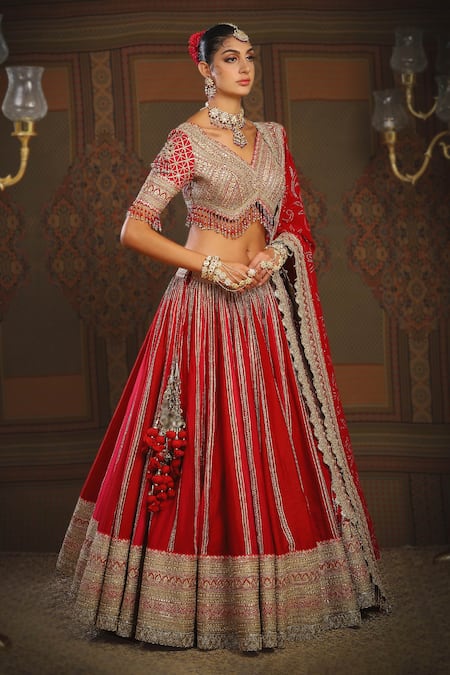 Shikhar Sharma_Red Silk, Chanderi, Georgette Embroidery, Rafflesia Gul Bridal Lehenga Set _Online_at_Aza_Fashions