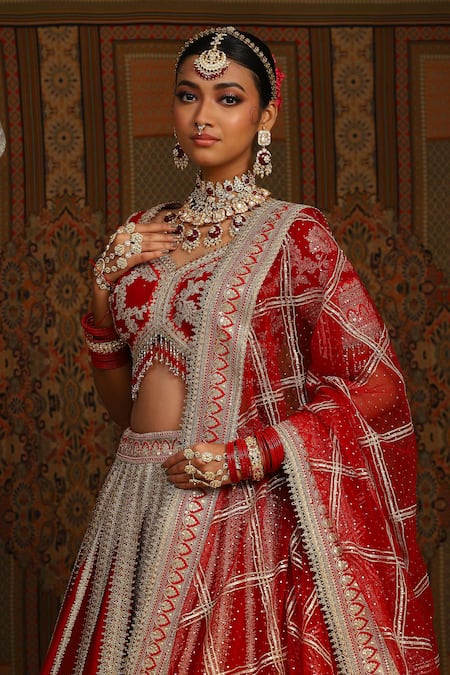 Shikhar Sharma_Red Silk, Chanderi, Net Amaryllis Vine Dori Embroidered Bridal Lehenga Set _at_Aza_Fashions