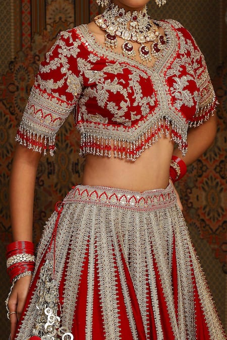 Buy_Shikhar Sharma_Red Silk, Chanderi, Net Amaryllis Vine Dori Embroidered Bridal Lehenga Set 