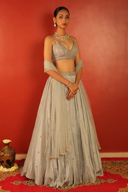 Enamour By Radha_Blue Net, Silk Zari, Mirrors, Beads Plunge Neck And Embroidered Lehenga Set _Online_at_Aza_Fashions