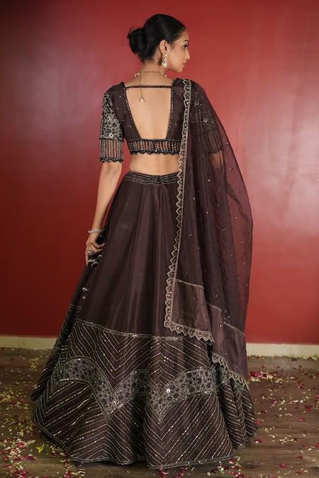 Shop_Enamour By Radha_Brown Organza, Net, Silk Sequins, Beads, Zari Embroidered Panelled Lehenga Set _at_Aza_Fashions