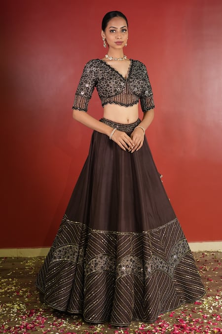 Enamour By Radha_Brown Organza, Net, Silk Sequins, Beads, Zari Embroidered Panelled Lehenga Set _Online_at_Aza_Fashions