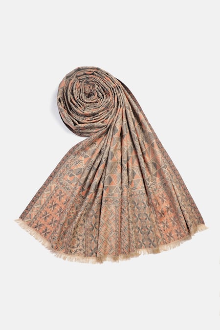 Shop_Shingora_Beige Embroidery Daksh Chevron Woven Lohi Shawl _at_Aza_Fashions