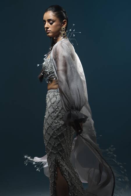 Shop_Kavita Arora_Grey Net Hand Embroidered Crystals Sweetheart Cape Skirt Set  _Online_at_Aza_Fashions