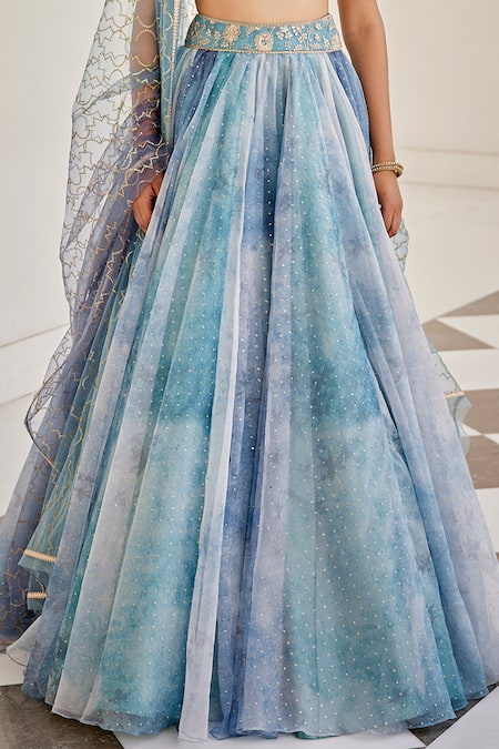 Buy Cedar & Pine Blue Organza, Tulle Beads, Sequins, Zari Sweetheart Neck Embroidered Lehenga Set Online at Aza Fashions Buy_Cedar & Pine_Blue Organza, Tulle Beads, Sequins, Zari Sweetheart Neck Embroidered Lehenga Set _Online_at_Aza_Fashions