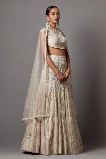 Buy_Mala And Kinnary_Beige Net Sequins, Crystals, Pearls Chevron Embellished Bridal Lehenga Set_Online_at_Aza_Fashions