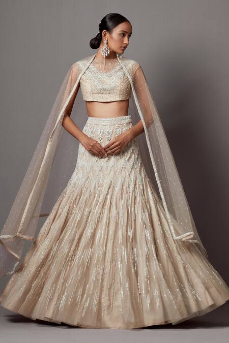 Mala And Kinnary_Beige Net Sequins, Crystals, Pearls Chevron Embellished Bridal Lehenga Set_at_Aza_Fashions