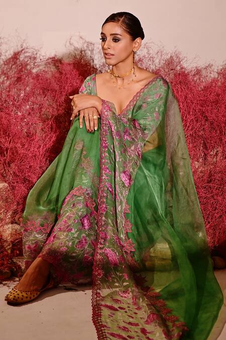 Baise Gaba_Green Organza, Crepe Embroidery Deviana Floral Saree _at_Aza_Fashions