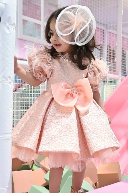 Shop_Janyas Closet_Peach Silk, Net, Linen, Jacquard Pearls, Feathers Radiant Blush Dress_at_Aza_Fashions