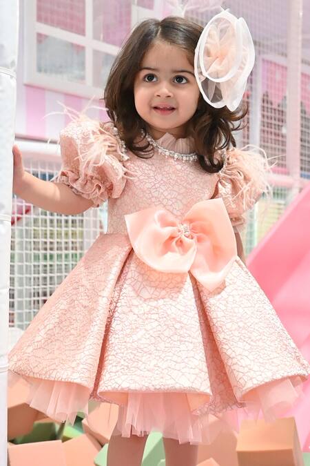 Shop_Janyas Closet_Peach Silk, Net, Linen, Jacquard Pearls, Feathers Radiant Blush Dress_Online_at_Aza_Fashions