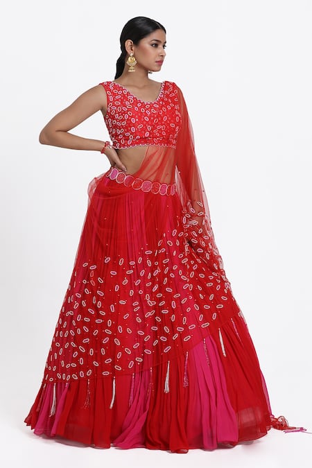 Nitisha Kashyap Official Mirror Embroidered Blouse Lehenga Set 