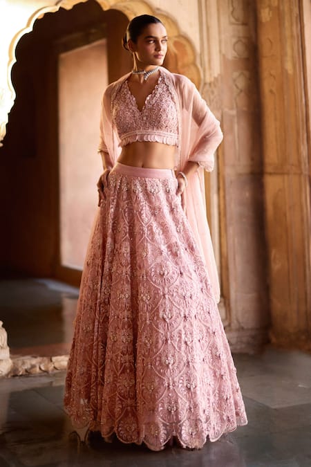 Awigna Pink Pure Organza Embroidered Floral Motifs Munir Blouse Lehenga Set  