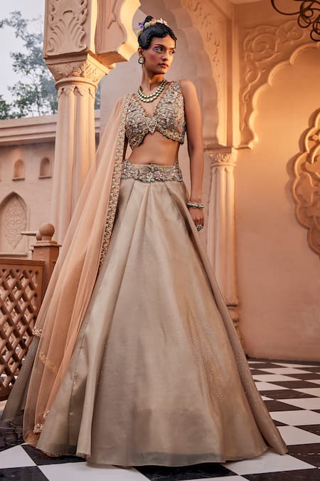 Kaaisha by Shalini Beige Organza/tulle Embroidered Beads Cutwork V Scattered Lehenga Blouse Set 