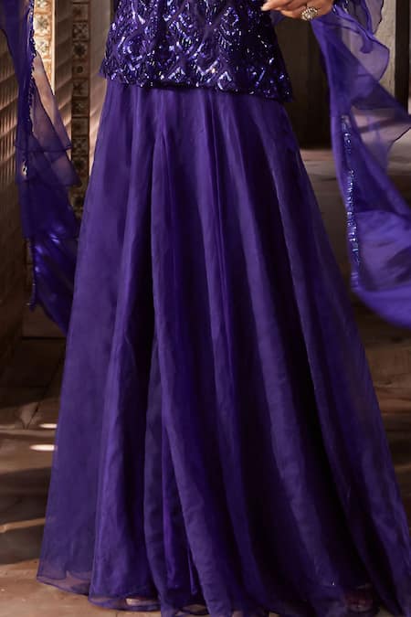 Shop_Nidhika Shekhar_Blue Organza, Net, Satin Jamuni Jalsaa Geometric Embroidered Kurta Sharara Set _Online_at_Aza_Fashions