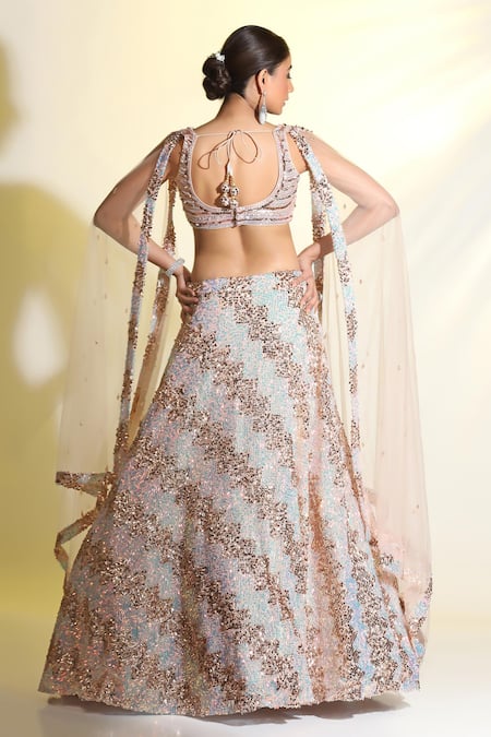 Meenagurnam Sequin Embellished Lehenga Blouse Set 