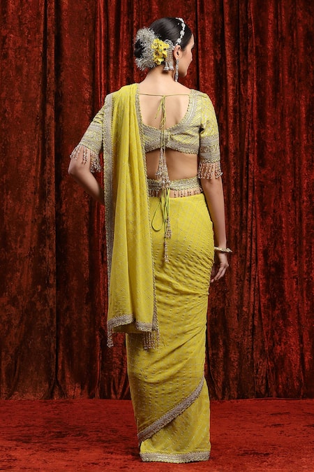 Shikhar Sharma Dori Embroidered Border Saree Set