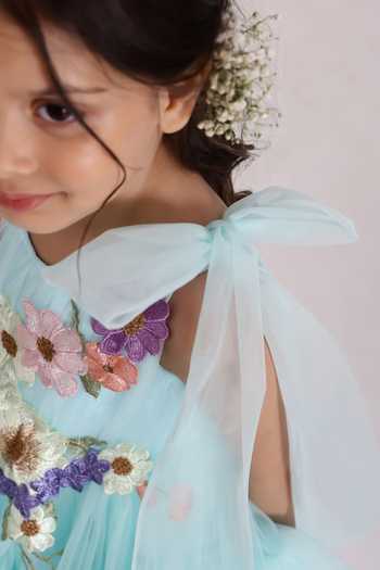 Janyas Closet_Blue Silk, Net Embroidery Embellished Kayo Princess Party Dress_at_Aza_Fashions