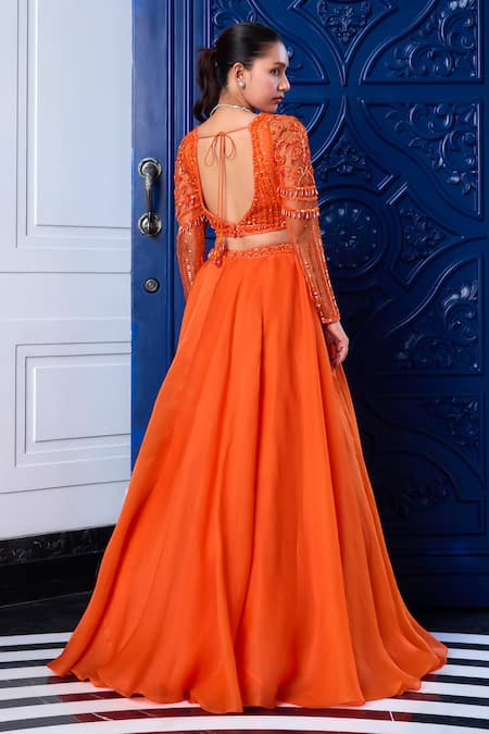 Label Sanya Gulati Waistband Embroidered Lehenga Blouse Set 